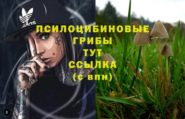 мдпв Киреевск