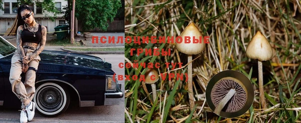 мдпв Киреевск